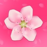 成版人黄瓜视频app