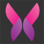 日本b站播放器在线下载