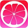 91香蕉app播放器下载地址