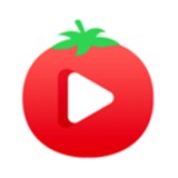 木瓜影视app下载大全